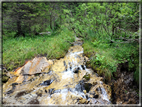 foto Cascate alte in Vallesinella